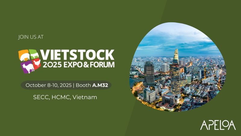 graphical user interface, website